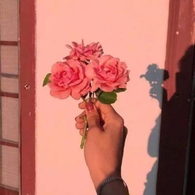 赠花卿